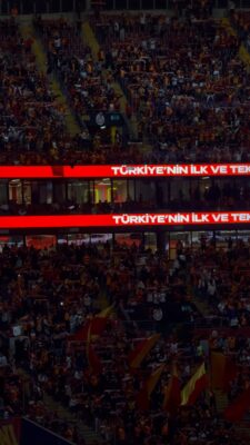 14796098_2160_3840_30fps