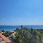 Profile photo of Zeynep